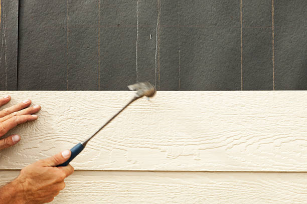 Best Custom Trim and Detailing for Siding  in South Haven, IN